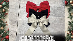 Вот и завершилась предновогодняя дипломатическая миссия под кодовым названием «Тайный Дед Мороз»!